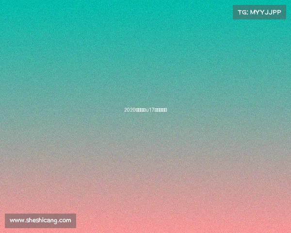 2020年河南省u17足球锦标赛